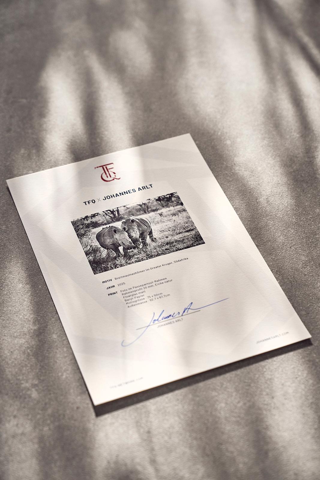 "Elefantenfamilie" - im Passepartout-Rahmen 68 cm x 93 cm