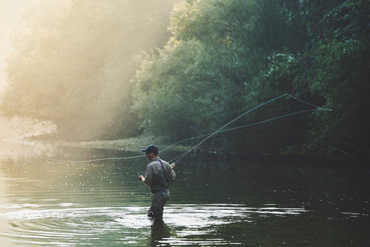 Book "Larger than Life"