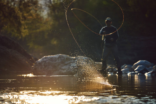 "Rollwurf" - Fine Art Pigmentdruck hinter Acrylglas 50 cm x 75 cm